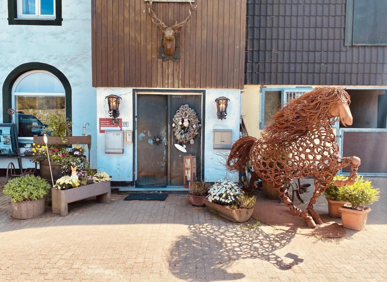 Hof Vierzehnender Im Hohen Venn - 70Qm Maisonette - 2 Schlafzimmer - Wohnkueche - Balkon Mit Grill - Monschau - Eifel - Hunde Willkommen - Islandpferde Exterior foto