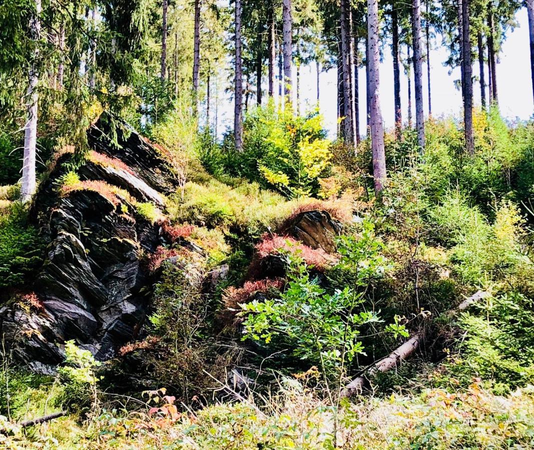 Hof Vierzehnender Im Hohen Venn - 70Qm Maisonette - 2 Schlafzimmer - Wohnkueche - Balkon Mit Grill - Monschau - Eifel - Hunde Willkommen - Islandpferde Exterior foto