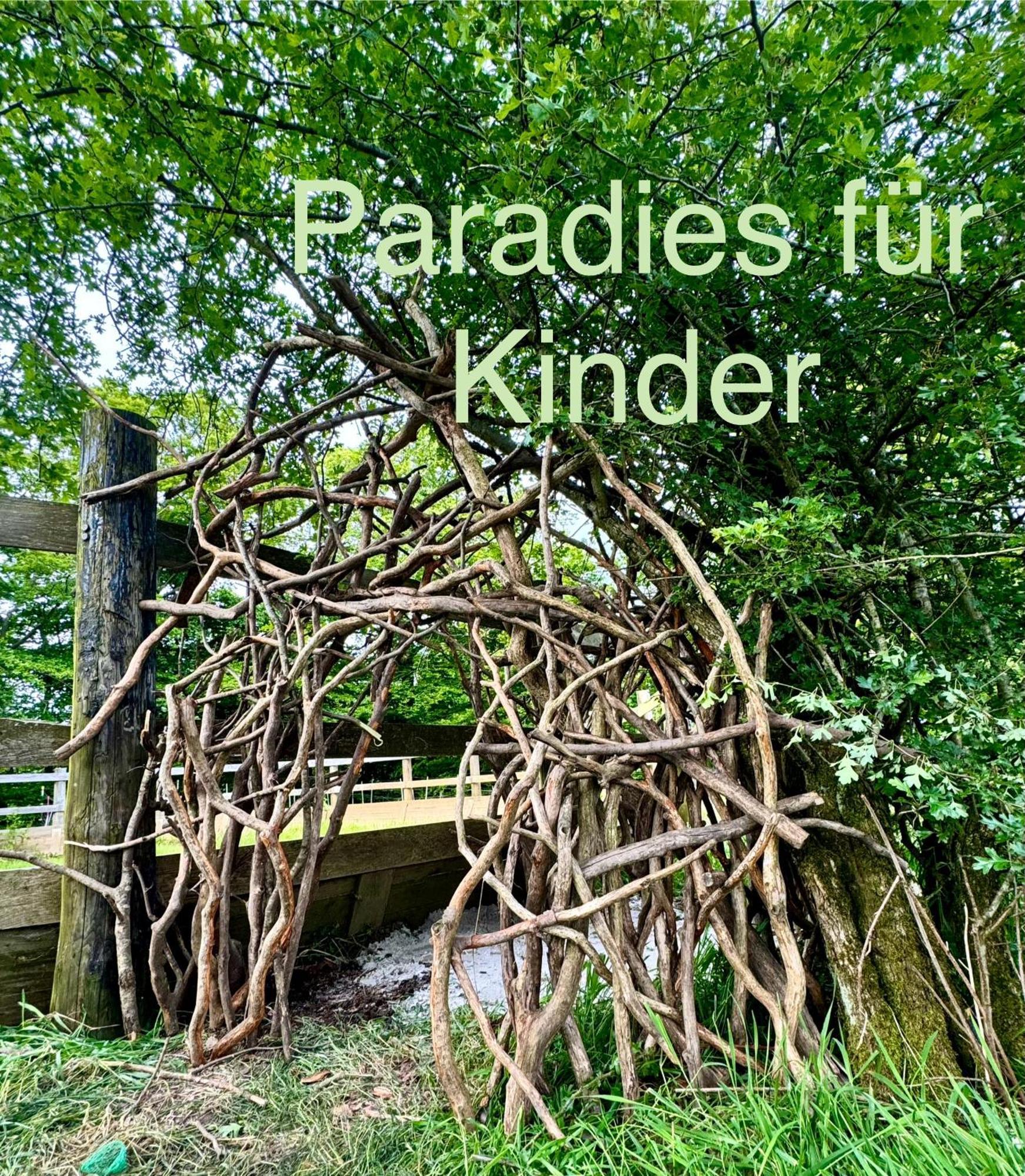 Hof Vierzehnender Im Hohen Venn - 70Qm Maisonette - 2 Schlafzimmer - Wohnkueche - Balkon Mit Grill - Monschau - Eifel - Hunde Willkommen - Islandpferde Exterior foto
