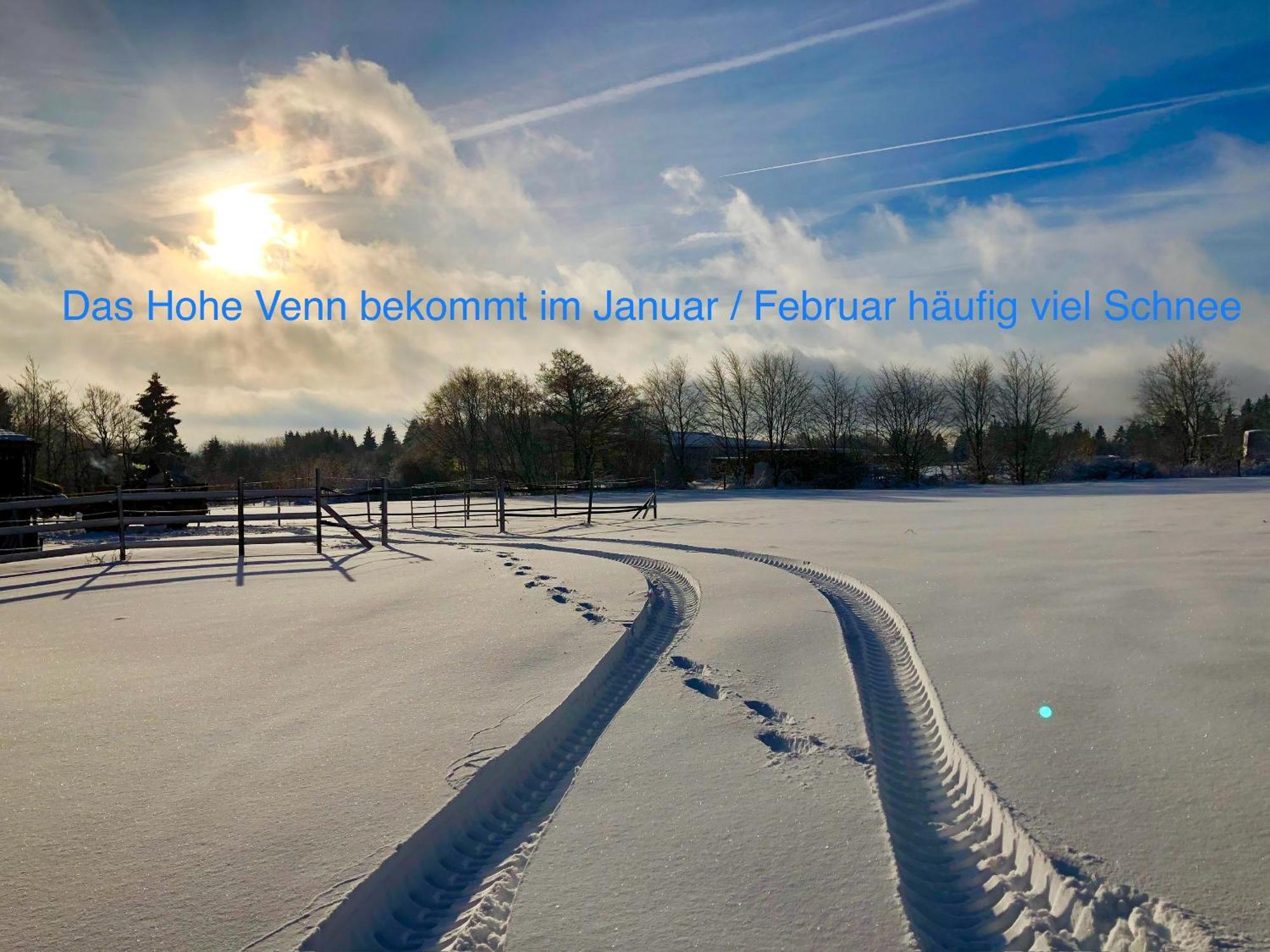 Hof Vierzehnender Im Hohen Venn - 70Qm Maisonette - 2 Schlafzimmer - Wohnkueche - Balkon Mit Grill - Monschau - Eifel - Hunde Willkommen - Islandpferde Exterior foto